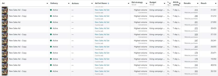 Facebook Ads Campaign Screenshot